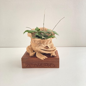 Vintage Wicker Frog Planter | Decorative Basket | Woven Wicker Animal | Quirky Vessel