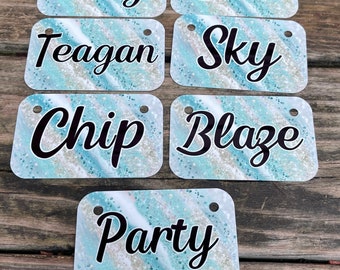 May include: Six white rectangular tags with a glittery blue and white background and black text. The tags read "Clay", "Dot", "Teagan", "Sky", "Chip", "Blaze", and "Party".