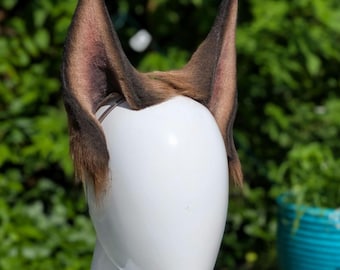 orelhas de dobermann marrom