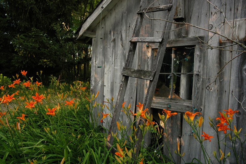 FARM PUMPHOUSE and Flowers an Old Wisconsin Farm Pump House Etsy