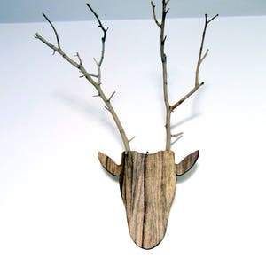 Unique jewelry hanger Deer head with antlers made from branches image 2