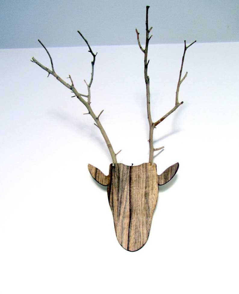 Unique jewelry hanger Deer head with antlers made from branches image 2