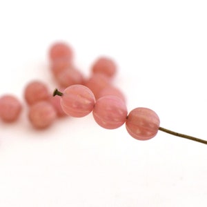 25 Czech pink melon shape beads 8mm in Boho glass image 1