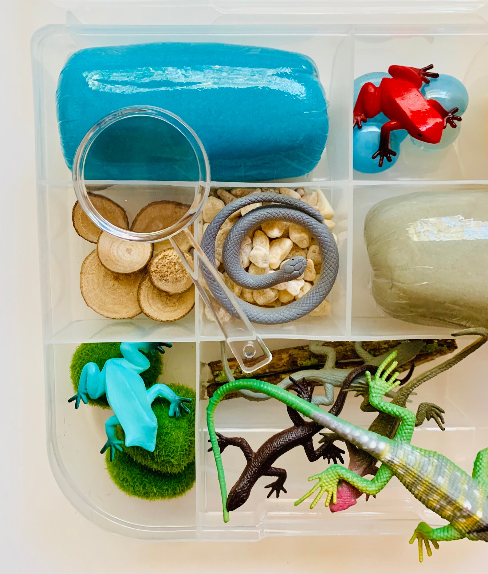 Reptiles Play Dough Kit Etsy