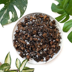 Tropical Soil for Aroids Monstera, Philodendron, Hoya, Ficus image 1