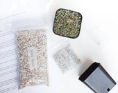Lithops Germination Kit - Soil, Seeds, Detailed Growing Guide (with watering schedule)
