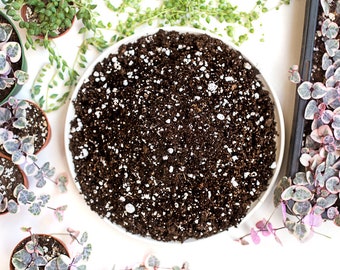 Houseplant Soil! Great for ALL plants.