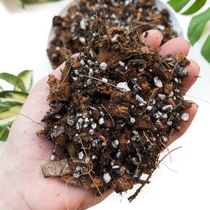 Tropical Soil for Aroids Monstera, Philodendron, Hoya, Ficus image 2