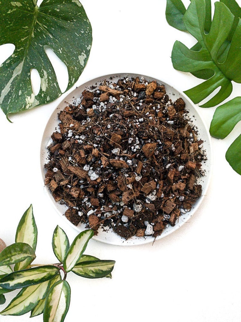 Tropical Soil for Aroids Monstera, Philodendron, Hoya, Ficus image 1