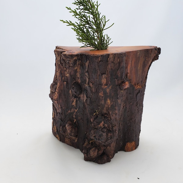 Slice #1 Apple tree wood handmade twig vase, weed pot - wood turned flower vase, vessel, fall decorations, autumn wooden decor Item #2229
