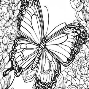 Butterfly Coloring Page