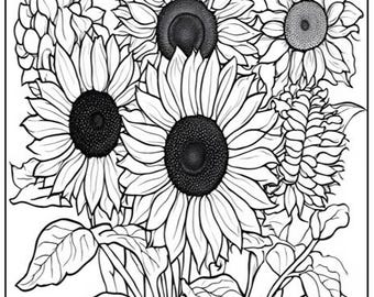 Coloriage bouquet de tournesols