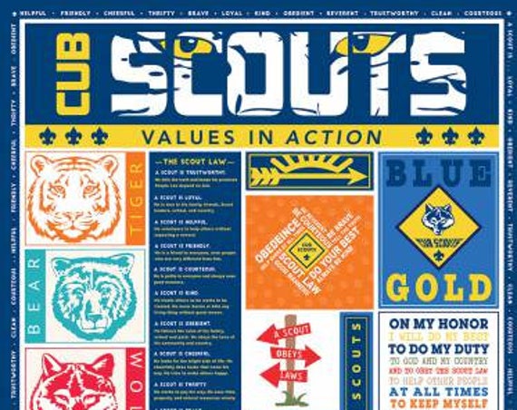 Cub Scouts Panel