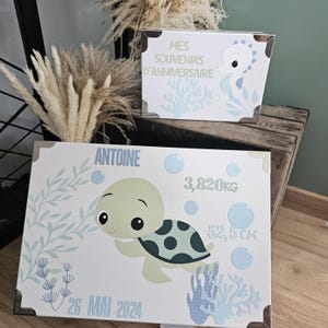 May include: A white wooden box with a blue and green turtle design. The box has the text "ANTOINE" and "26 MAI 2024" on it. The box also has the text "3,820KG" and "52,5 CM" on it. The box is decorated with blue and green coral and bubbles.