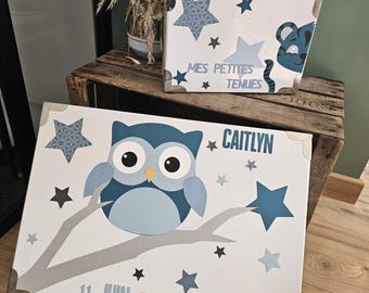 Blue owl theme birth box