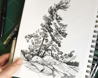 White Pine Ink Drawing Print - Landscape Art, Watercolour, black and white, Ontario, Canadian Art, Decor, Nature, Camping Art
