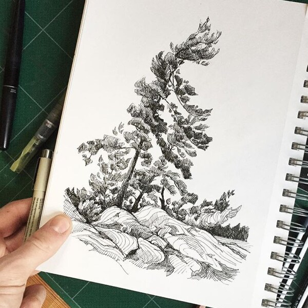 White Pine Ink Drawing Print - Landscape Art, Watercolour, black and white, Ontario, Canadian Art, Decor, Nature, Camping Art
