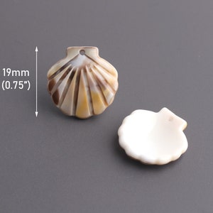 4 Tiny Seashell Charms, Acryl Scallop Shell Kralen, Faux Sunrise Shell, Kleine Sea Shell Bevindingen, Plastic Clam Shell Charms, XY024-19-BR06