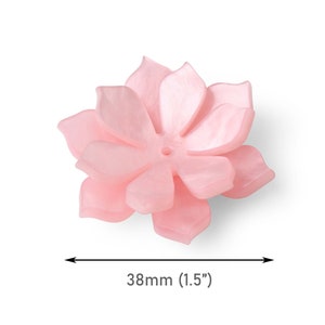 Peut inclure: Fleur en plastique rose à cinq pétales, mesurant 38 mm de diamètre.
