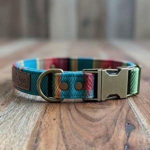 May include: A colorful dog collar with a turquoise base and a striped pattern in red, green, and yellow. It features a metal buckle and a D-ring for leash attachment. The collar has a brown leather patch with the text "Roo".