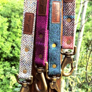 Dog Leash to Match Collar