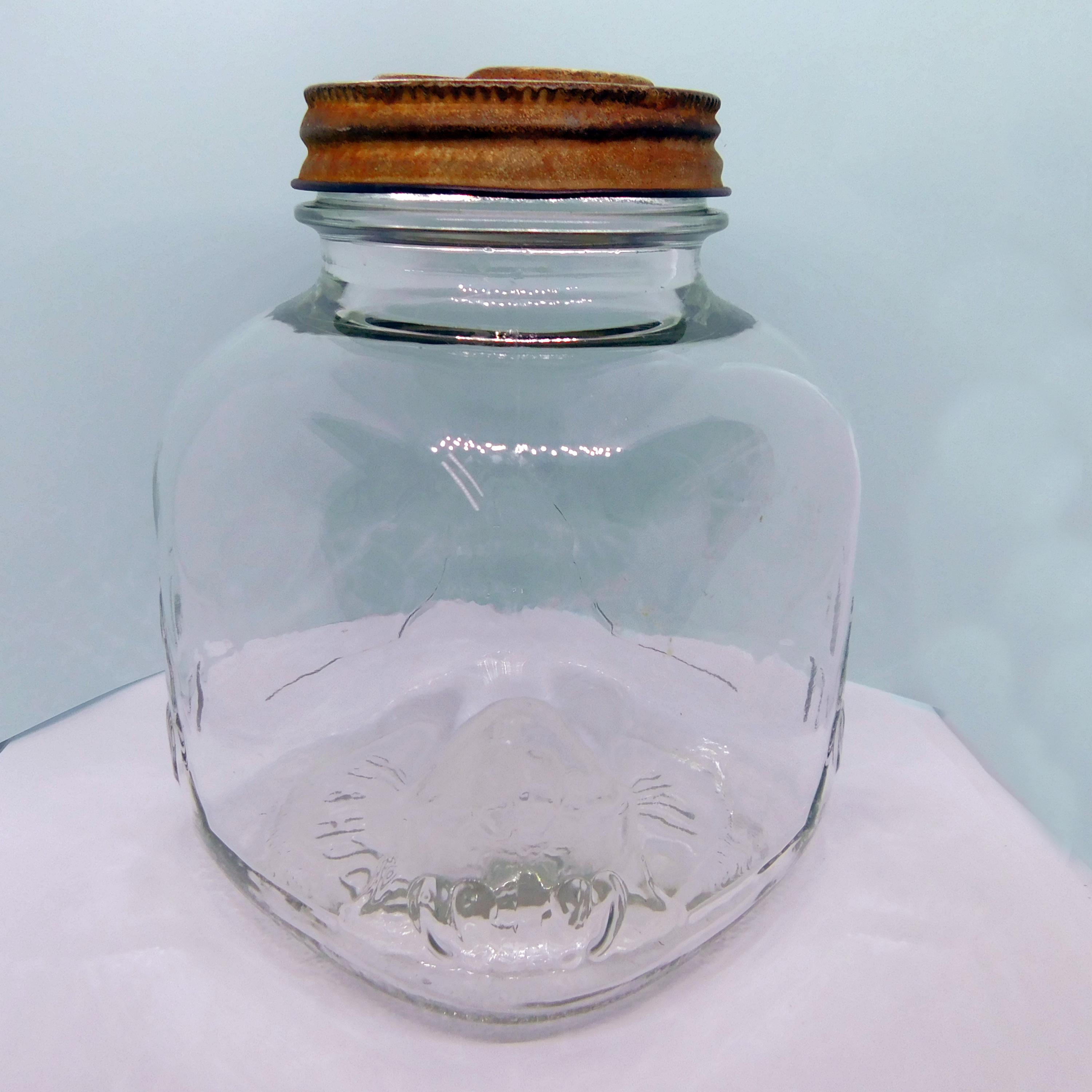 Vintage 1940s, Clear Glass, Iris Coffee Jar, Haas Baruch (and) Co