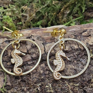 May include: Gold-coloured seahorse earrings. Each earring has a seahorse charm hanging inside a circular hoop. The earrings are set against a backdrop of moss and wood.