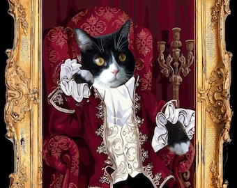 Costume Pour Chats Etsy