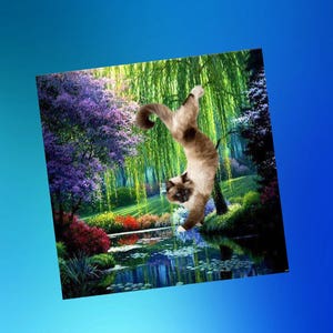 carte double  avec chats : séance de yoga