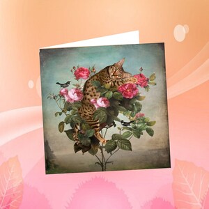 carte chat, carte de voeux chat ,mon beau rosier