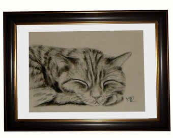 Portrait de chat au fusain :sieste féline