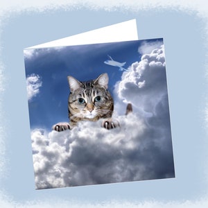 Carte  de voeux double avec chat  : la tête dans les nuages