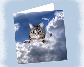 Carte  de voeux double avec chat  : la tête dans les nuages