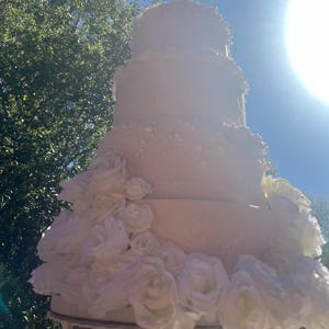 Fake cake dummy cake