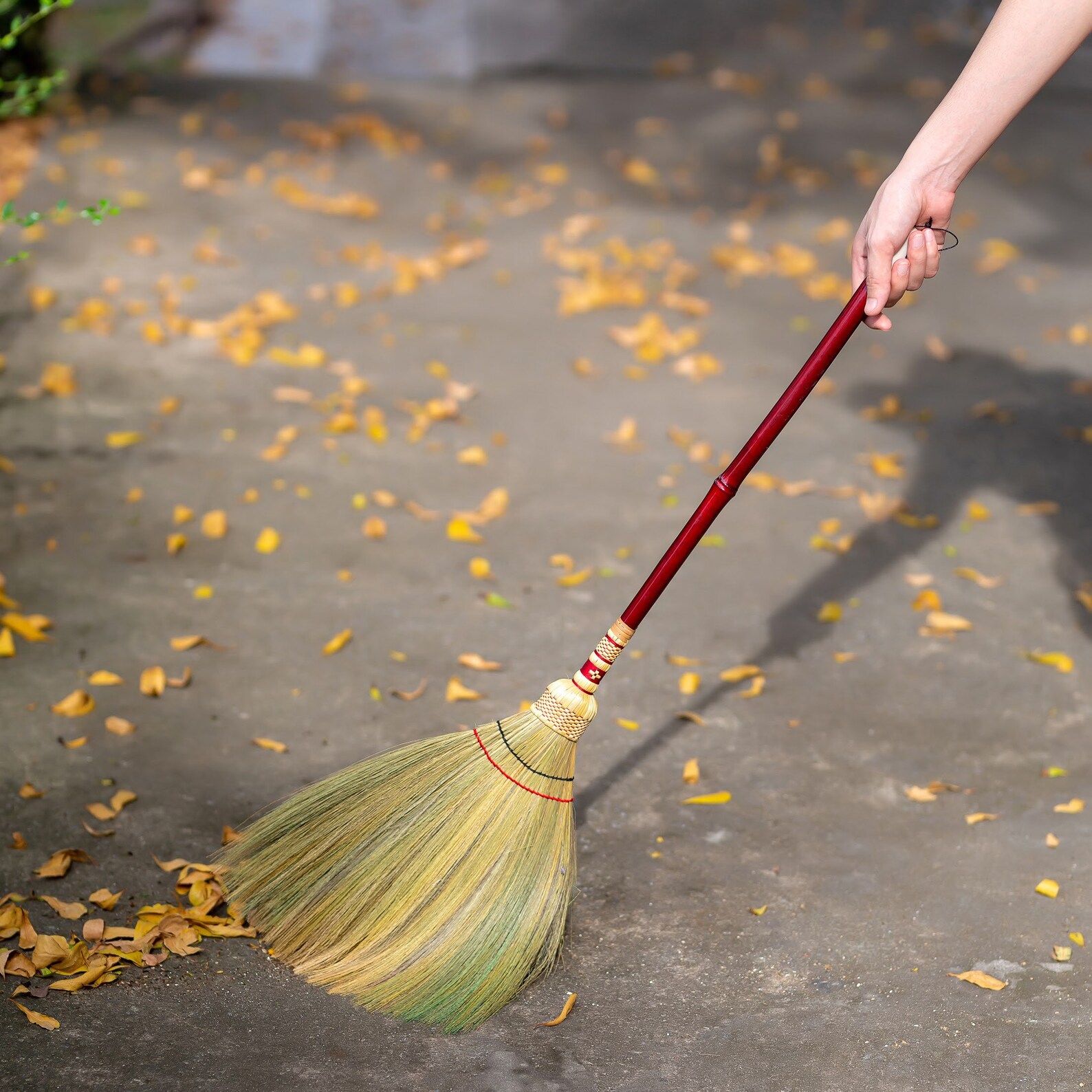 2 pc of 32 inch length of Asian Short Broom Thai Natural Grass Etsy
