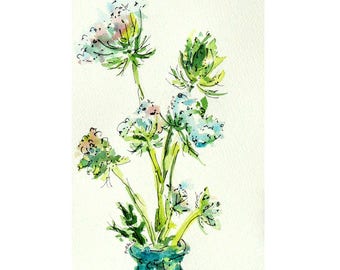 Queen Ann's Lace, wildflower, flower, original, painting, watercolor, pen and ink, matted, ready to frame, 10 x 8