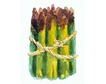 Asparagus, watercolor, pen and ink, original, 8 x 10, country, kitchen art