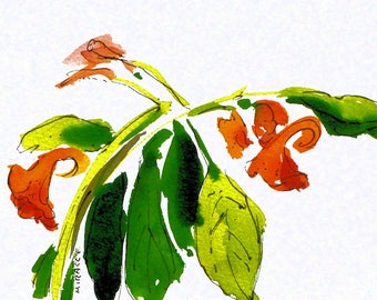 Jewel Weed, original, painting, watercolor, pen and ink, ready to frame, 8 x 10