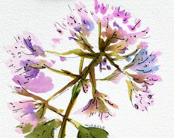 Joe Pye Weed, original, painting, watercolor, pen and ink, ready to frame, 8 x 10