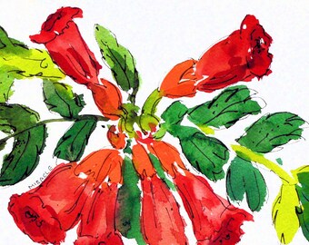 Trumpet vine, wildflower, flower, floral, original, painting, watercolor, pen and ink, white mat, ready to frame, 8 x 10