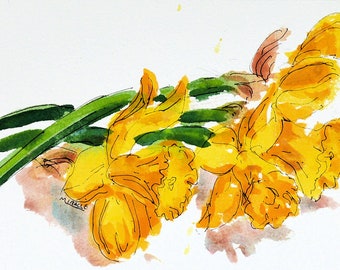 Four Daffodils on a Table, original painting, watercolor, pen and ink, matted, ready to frame, spring, flowers, Kit Miracle, bright colors