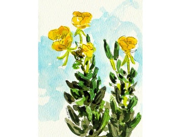 Evening primrose, wildflower, flower, original, watercolor, yellow, pen and ink, ready to frame, matted, 10 x 8