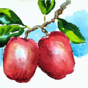 Mele rosse, originale, pittura, acquerello, penna e inchiostro, arte della cucina, autunno, 4 x 5, arruffato 8 x 10