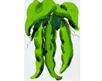 Beans, green beans, watercolor, pen and ink, kitchen art, 8 x 10