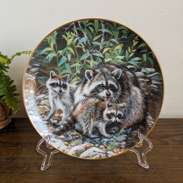 The Danbury Mint Woodland Creatures Raccoon Family 1991 Amy Brackenbury Wall Art Collectible Plate