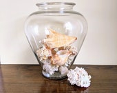 Large Glass Amphora Vase With Shells Nautical Beach House Tropical Decor Conchs Coral Jar Natural Shells