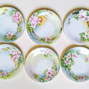 Hand Painted Limoges Plate Set Pink Wild Rose Porcelain Plate Set Of Six France
