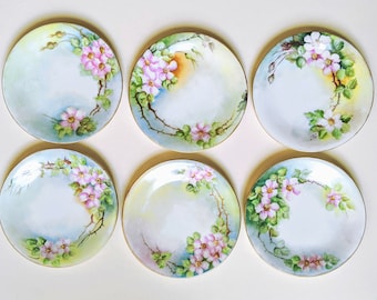 Hand Painted Limoges Plate Set Pink Wild Rose Porcelain Plate Set Of Six France