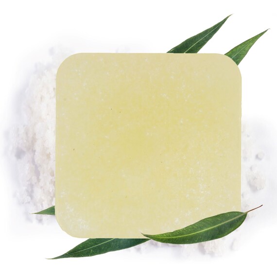 Eucalyptus & Sea Salt Handmade Bar Soap by Shawn's Soaps