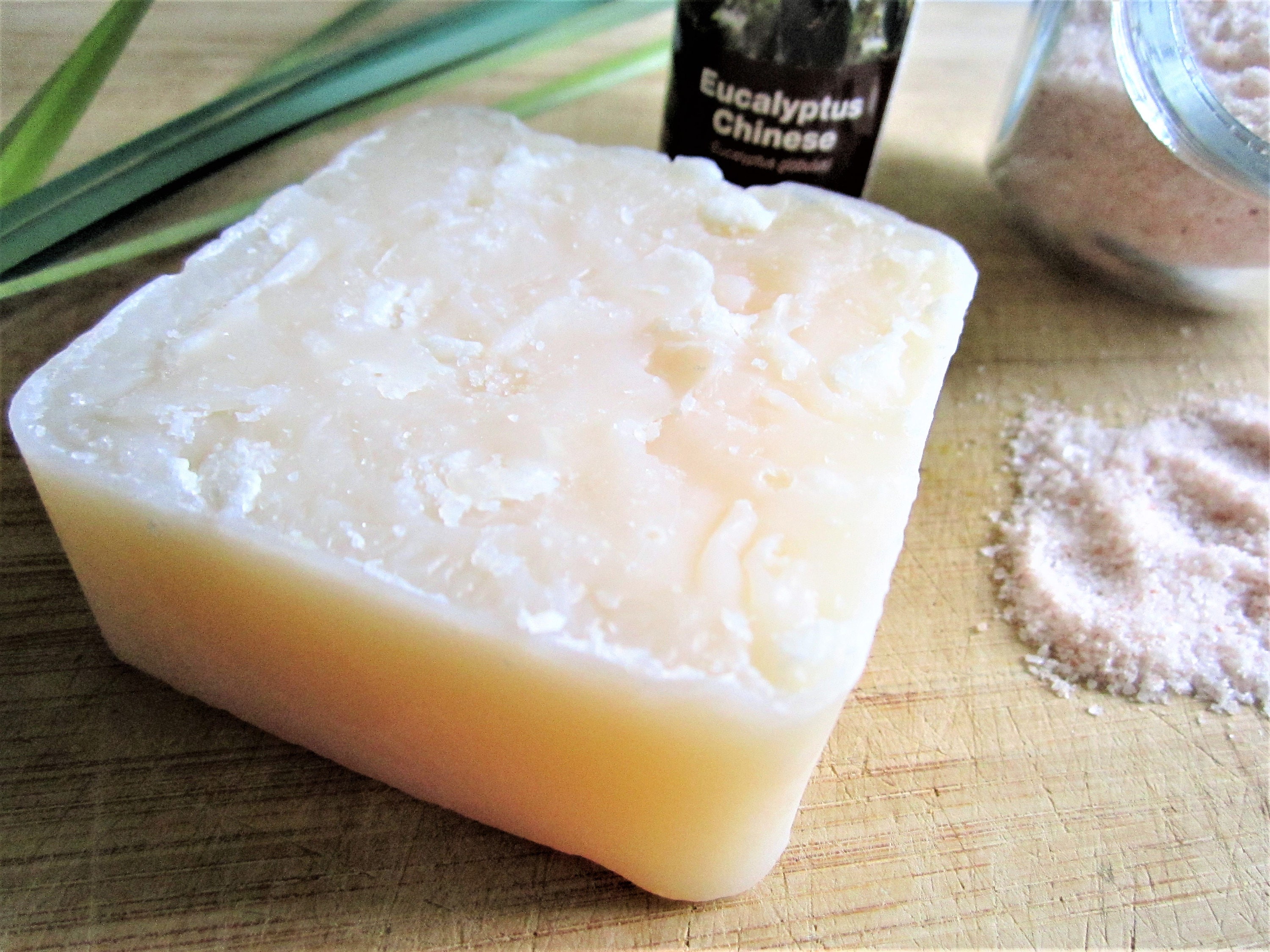 Eucalyptus & Sea Salt Handmade Bar Soap by Shawn's Soaps